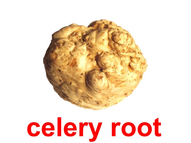 celery root